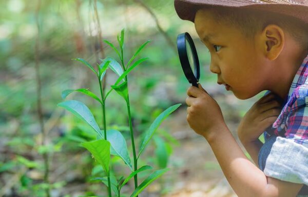 Child Development & Adolescent Studies 兒童發展與青少年研究